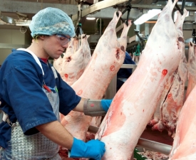 Business_Units_Meat_Processing_003_AAA_2318